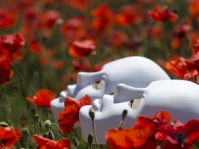 images/esemenyek/mask_poppies_field_red.jpg